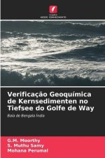 Verificaç?o Geoquímica de Kernsedimenten no Tiefsee do Golfe de Way