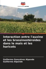 Interaction entre l'auxine et les brassinostéro?des dans le ma?s et les haricots