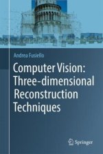 Computer Vision: Three-dimensional Reconstruction Techniques