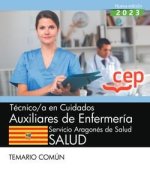TECNICO/A CUIDADO AUXILIAR ENFERMERIA SERVICIO ARAGON TEMAR