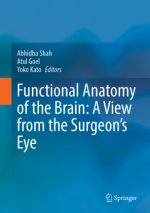 Functional Anatomy of the Brain: A View from the Surgeon's Eye