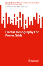 Fractal Tomography For Power Grids