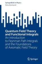 Quantum Field Theory and Functional Integrals