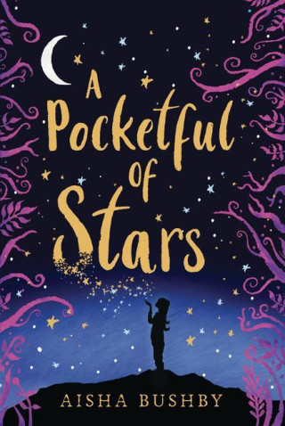 POCKETFUL OF STARS