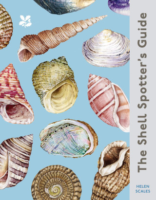 Shell-spotter's Guide
