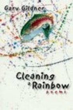 Cleaning a Rainbow: poems