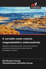 Il cervello come colonia magnetotattica mitocondriale