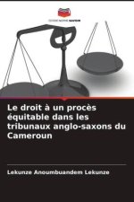 Le droit ? un proc?s équitable dans les tribunaux anglo-saxons du Cameroun