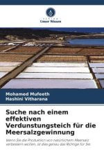 Suche nach einem effektiven Verdunstungsteich für die Meersalzgewinnung