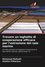 Trovare un laghetto di evaporazione efficace per l'estrazione del sale marino