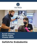 Geführte Endodontie