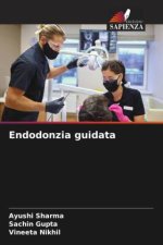 Endodonzia guidata