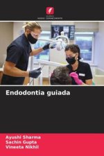 Endodontia guiada
