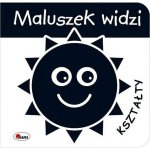 Maluszek widzi. Kształty. Wydawnictwo AWM