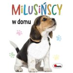 Milusińscy. W domu. Wydawnictwo AWM