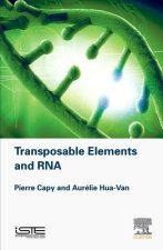 Transposable Elements and RNA