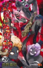 Twin Star Exorcists T29