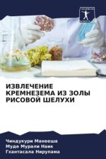 IZVLEChENIE KREMNEZEMA IZ ZOLY RISOVOJ ShELUHI