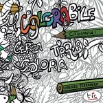 colorabile. Cerca, trova, colora!