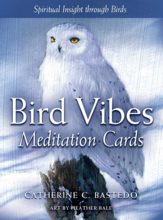 BAD VIBES MEDITATION CARDS
