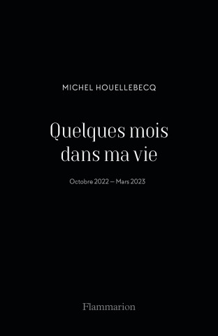 Quelques mois dans ma vie (Houellebecq)(Miękka)