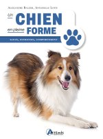 Un chien en pleine forme