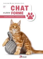 Un chat en pleine forme