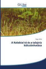 A Kelebiai tó és a talajvíz kölcsönhatása