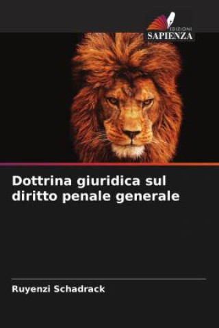 Dottrina giuridica sul diritto penale generale