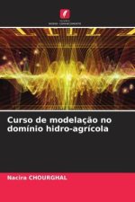 Curso de modelaç?o no domínio hidro-agrícola
