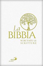 Bibbia. Scrutate le scritture