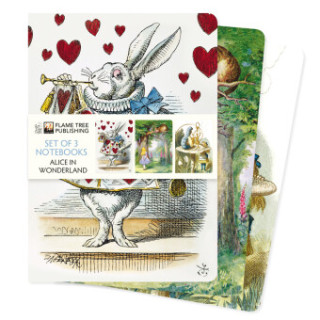 Alice in Wonderland Set of 3 Standard Notebooks