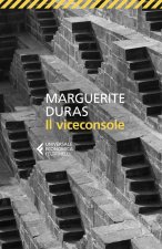 viceconsole