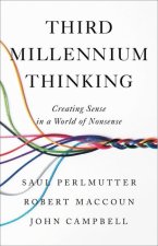 Third Millennium Thinking: Creating Sense in a World of Nonsense