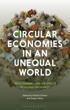 Circular Economies in an Unequal World: Waste, Renewal, and the Effects of Global Circularity