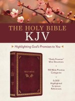 The Holy Bible Kjv: Highlighting God's Promises to You (Crimson & Gold)