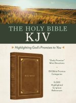 Holy Bible Kjv: Highlighting God's Promises to You (Gold & Camel)