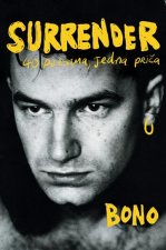 Surrender - 40 pjesama, jedna priča