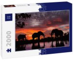 Lais Puzzle Elefanten im Sonnenuntergang an einem Fluss 2000 Teile