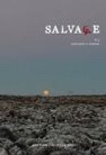 Salvage #13