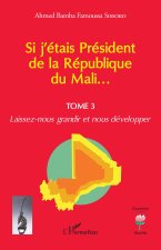 Si j'étais Président de la République du Mali...