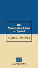 DU MORNE-DES-ESSES AU DJEBEL
