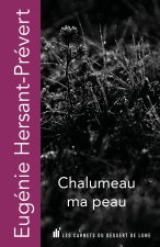 Chalumeau ma peau