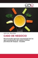 CASO DE NEGOCIO