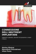 CONNESSIONE DELL'ABUTMENT IMPLANTARE
