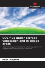 CO2 flux under cerrado vegetation and in tillage areas
