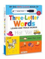 My Big Wipe and Clean Book of Three Letter Words for Kids: Learn and Trace Words