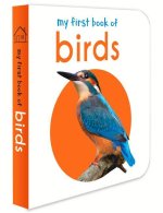 My First Book of Birds: First Board Book