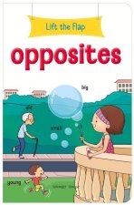 Lift the Flap: Opposites: Early Learning Novelty Board Book for Children