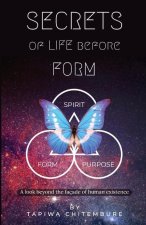 Secrets of Life Before Form: A look beyond the façade of human existence